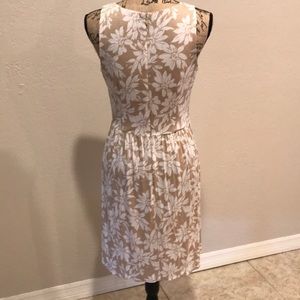 LOFT Dresses - Loft fit and flare sleeveless dress LOFT Dresses - Loft fit and flare sleeveless dress